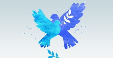 Christmas Family Evening Market